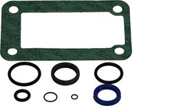 SEAL KIT PMS/PMS + VS 12 FULCRO