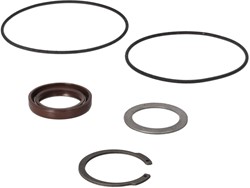 AFDICHTSET F11-014 VITON