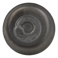 STIFT FÜR POLYP-GUMMI STAHL-2